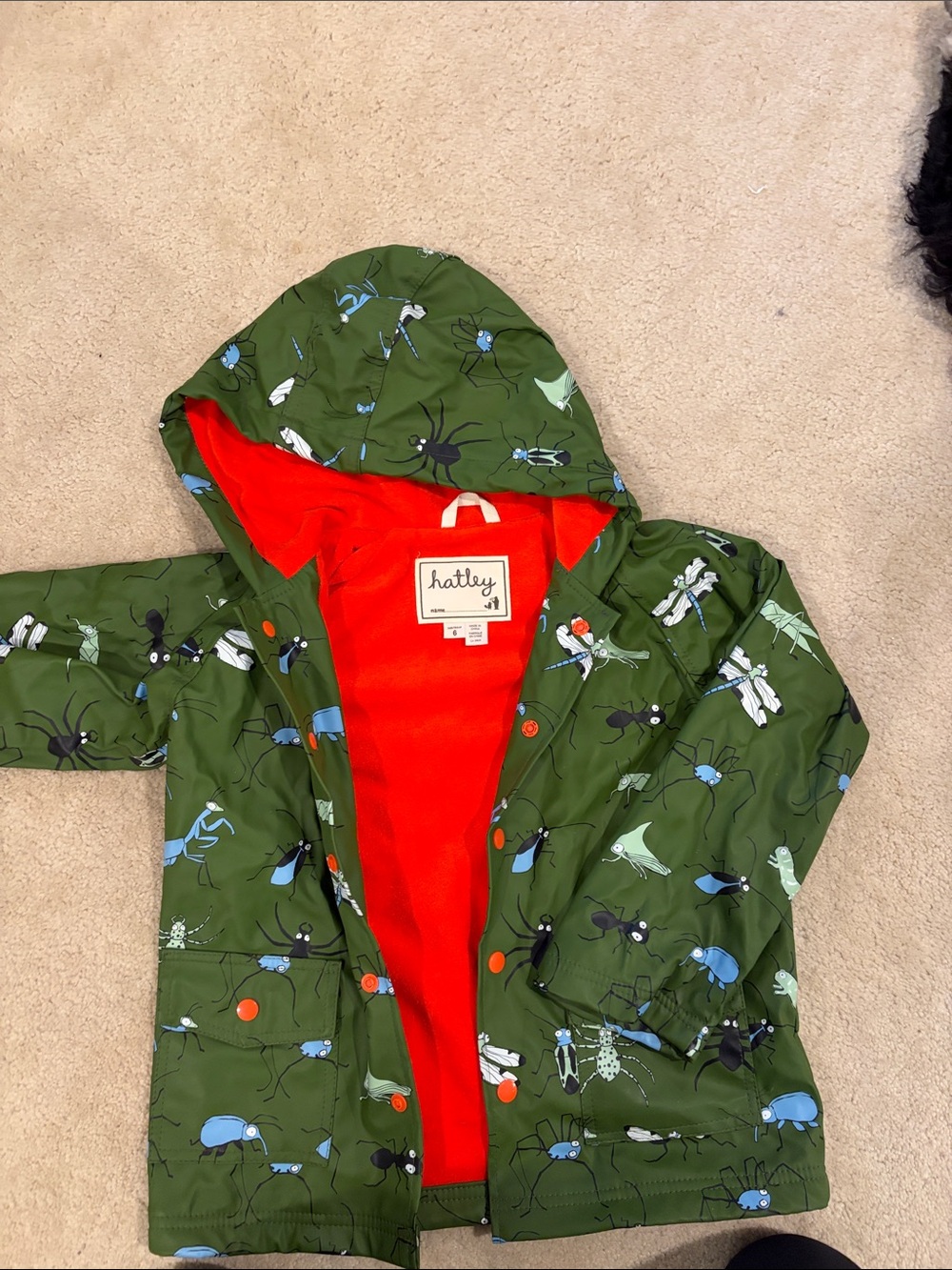 Hatley Green Bug-Print Raincoat with Bright Red Lining